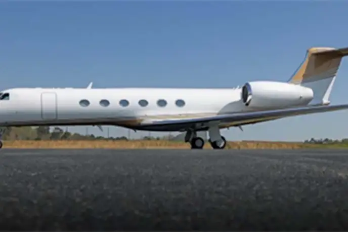   фото внешнего вида