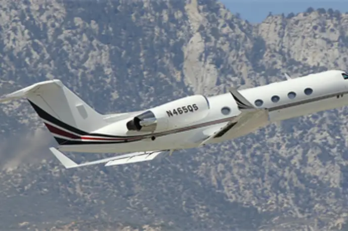   фото внешнего вида