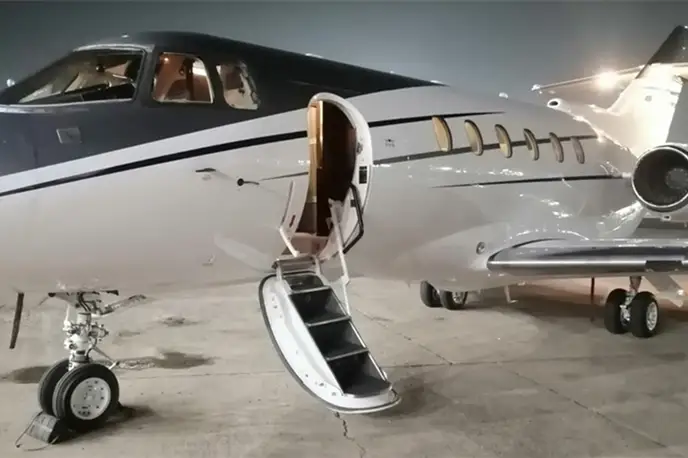   фото внешнего вида