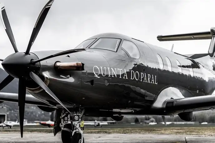   фото внешнего вида