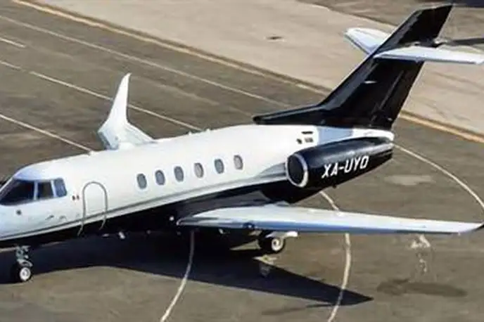   фото внешнего вида