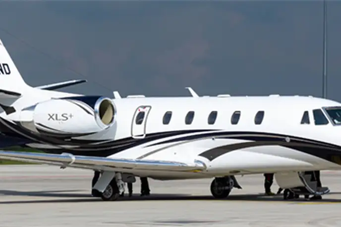   фото внешнего вида