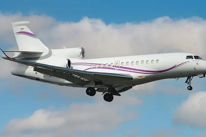   фото внешнего вида