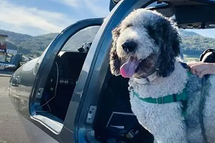   фото внешнего вида