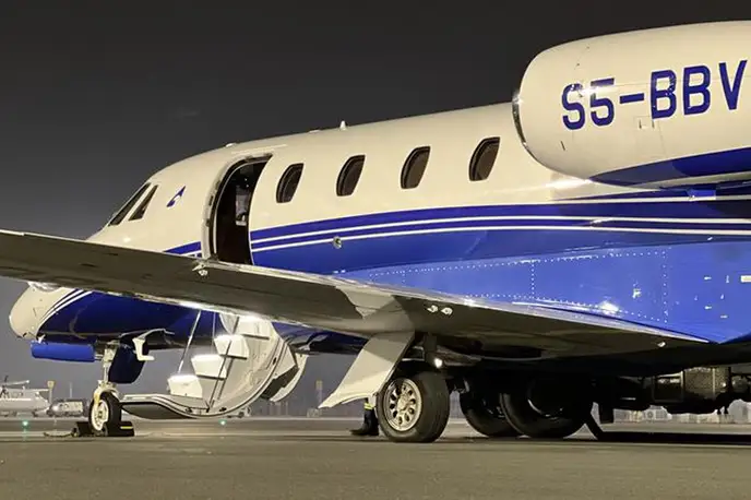   фото внешнего вида