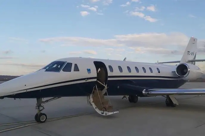   фото внешнего вида