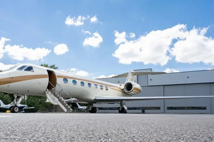   фото внешнего вида