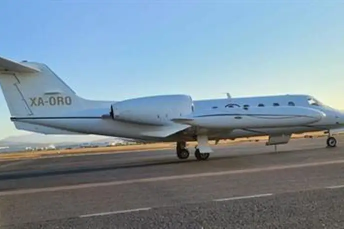   фото внешнего вида