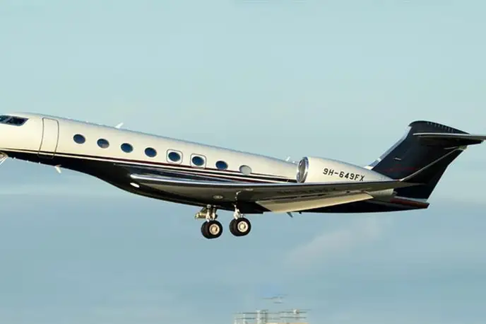   фото внешнего вида