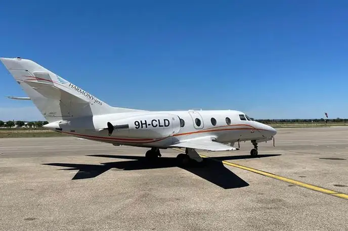   фото внешнего вида