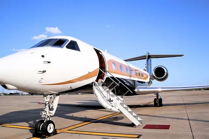   фото внешнего вида