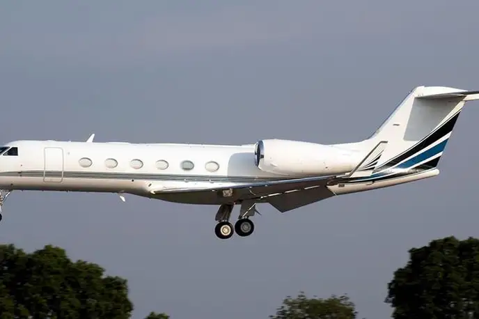   фото внешнего вида