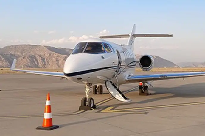   фото внешнего вида