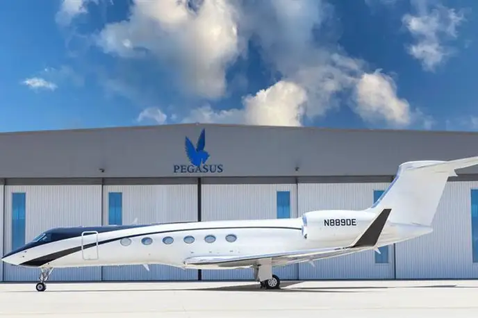   фото внешнего вида