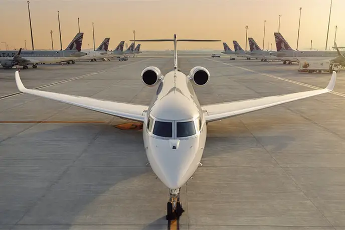   фото внешнего вида