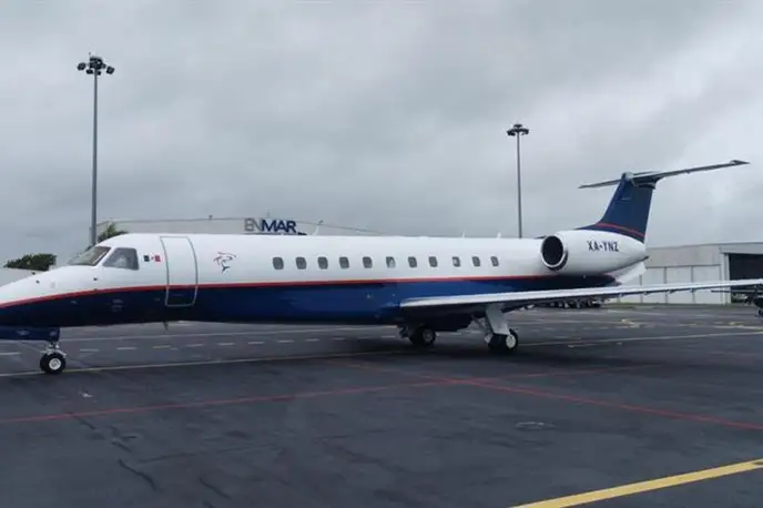   фото внешнего вида