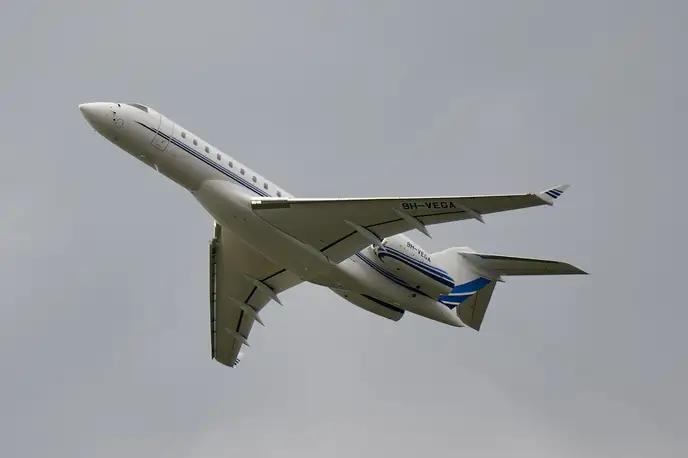   фото внешнего вида