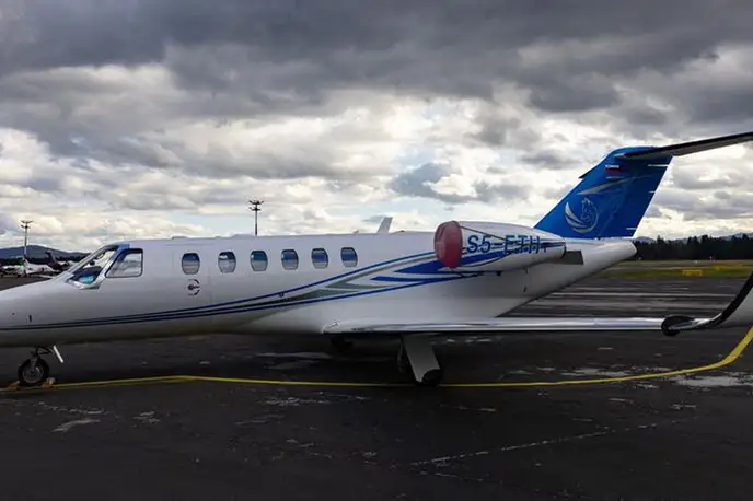   фото внешнего вида