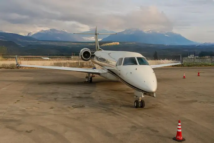   фото внешнего вида