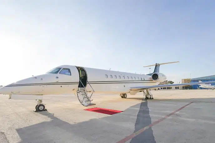   фото внешнего вида