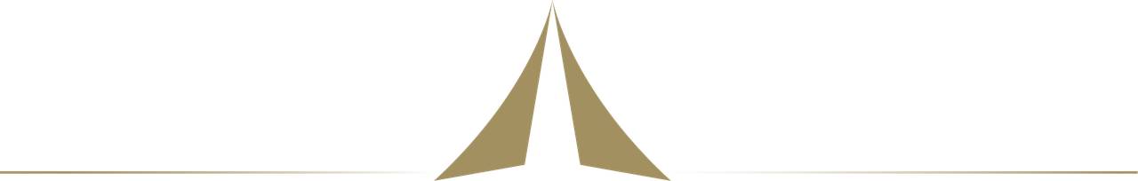 Флот Action Aviation Consulting Ltd