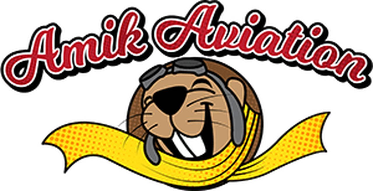 Amik Aviation