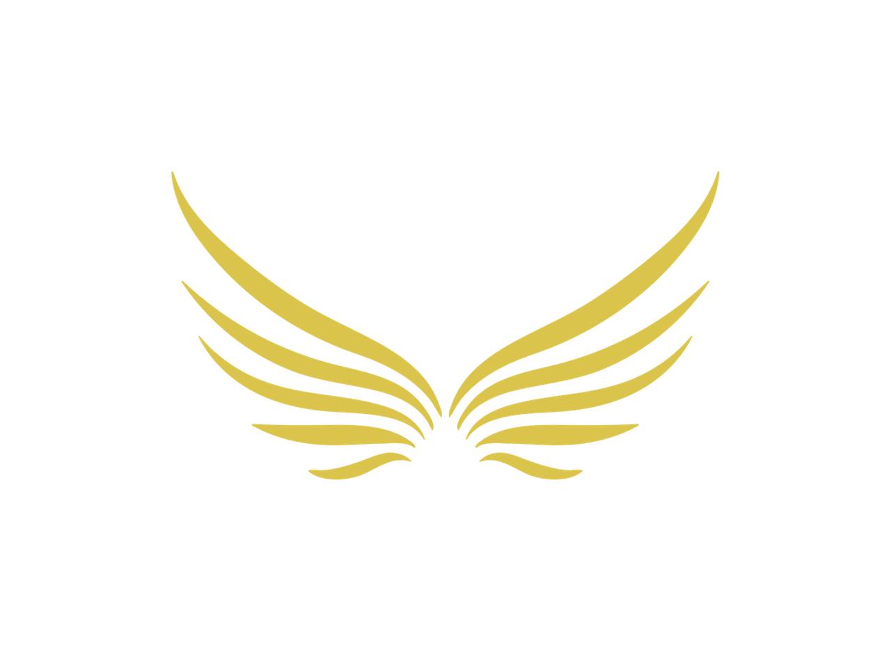 Флот Astute Aviation