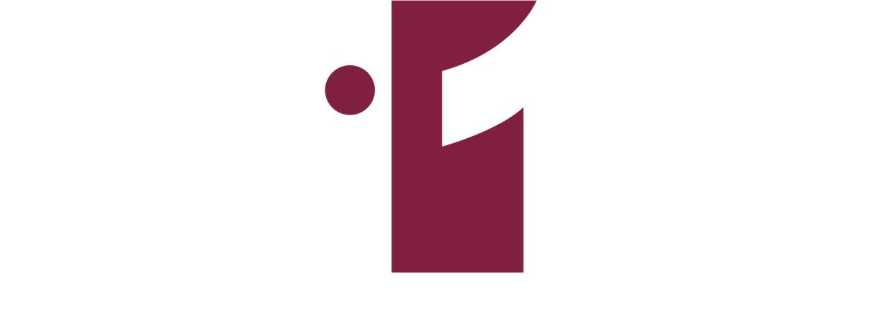 Флот Avione Jet