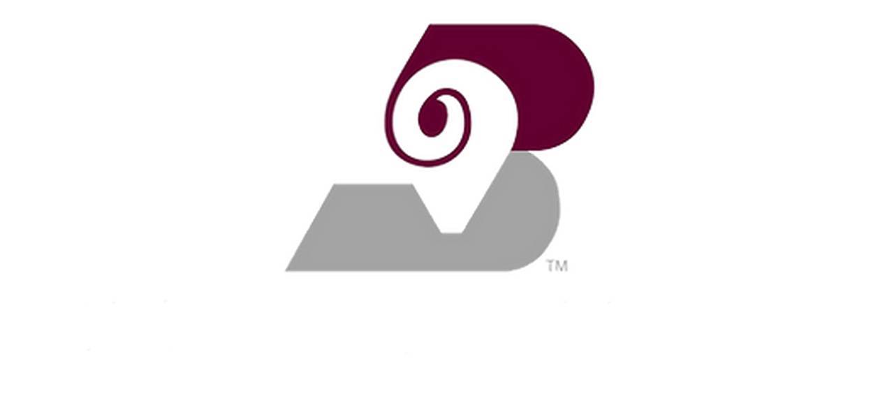 Bighorn Airways Inc.