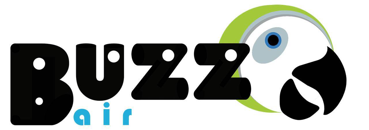 Флот Buzz Air, Inc