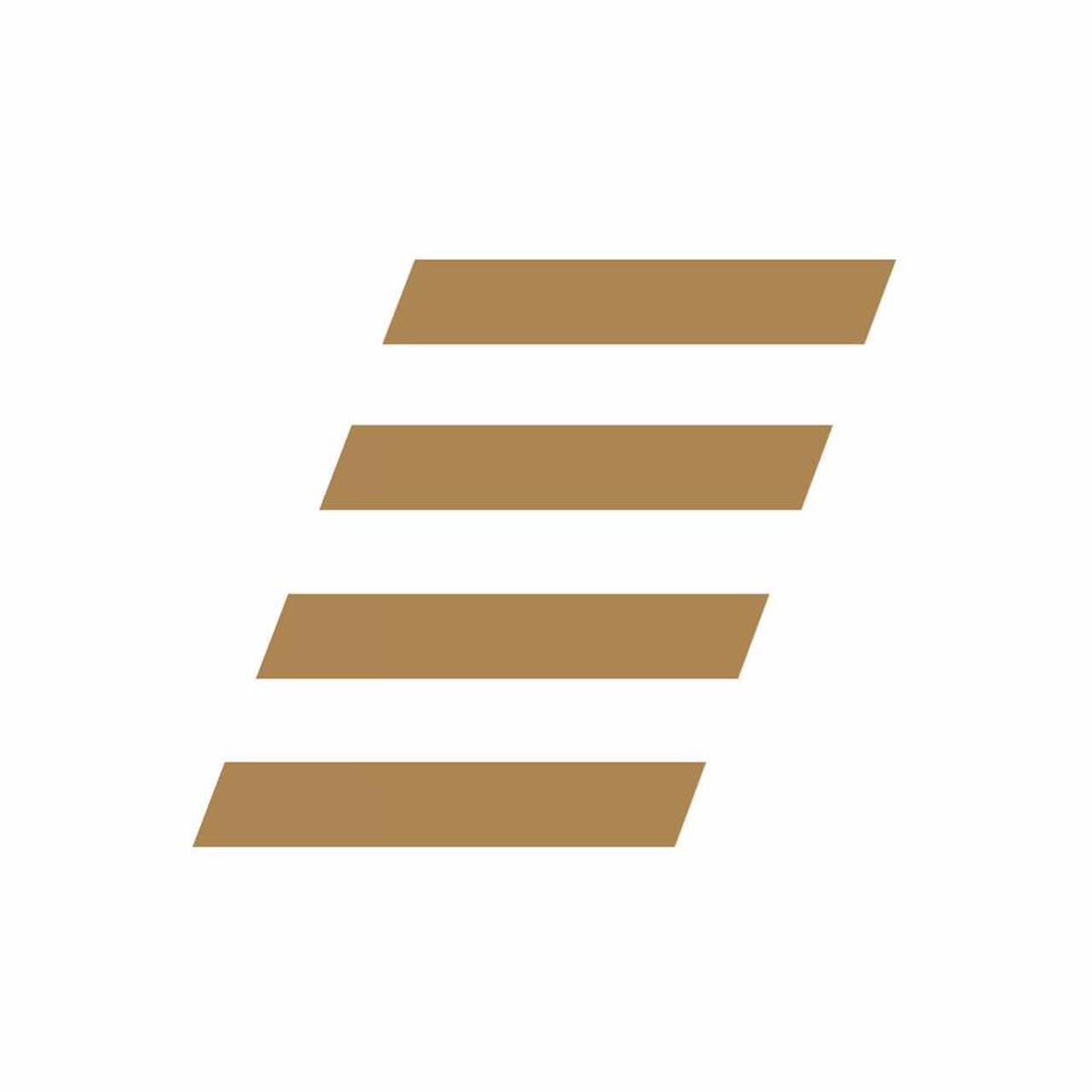E-Aviation Eisele Flugdienst Gmbh