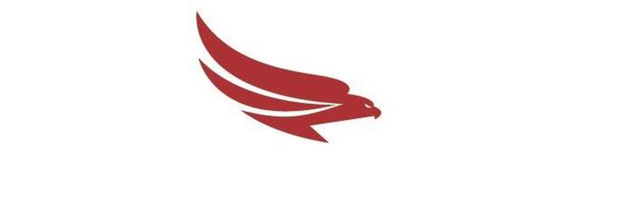 Флот Falcon Executive Aviation, Inc.