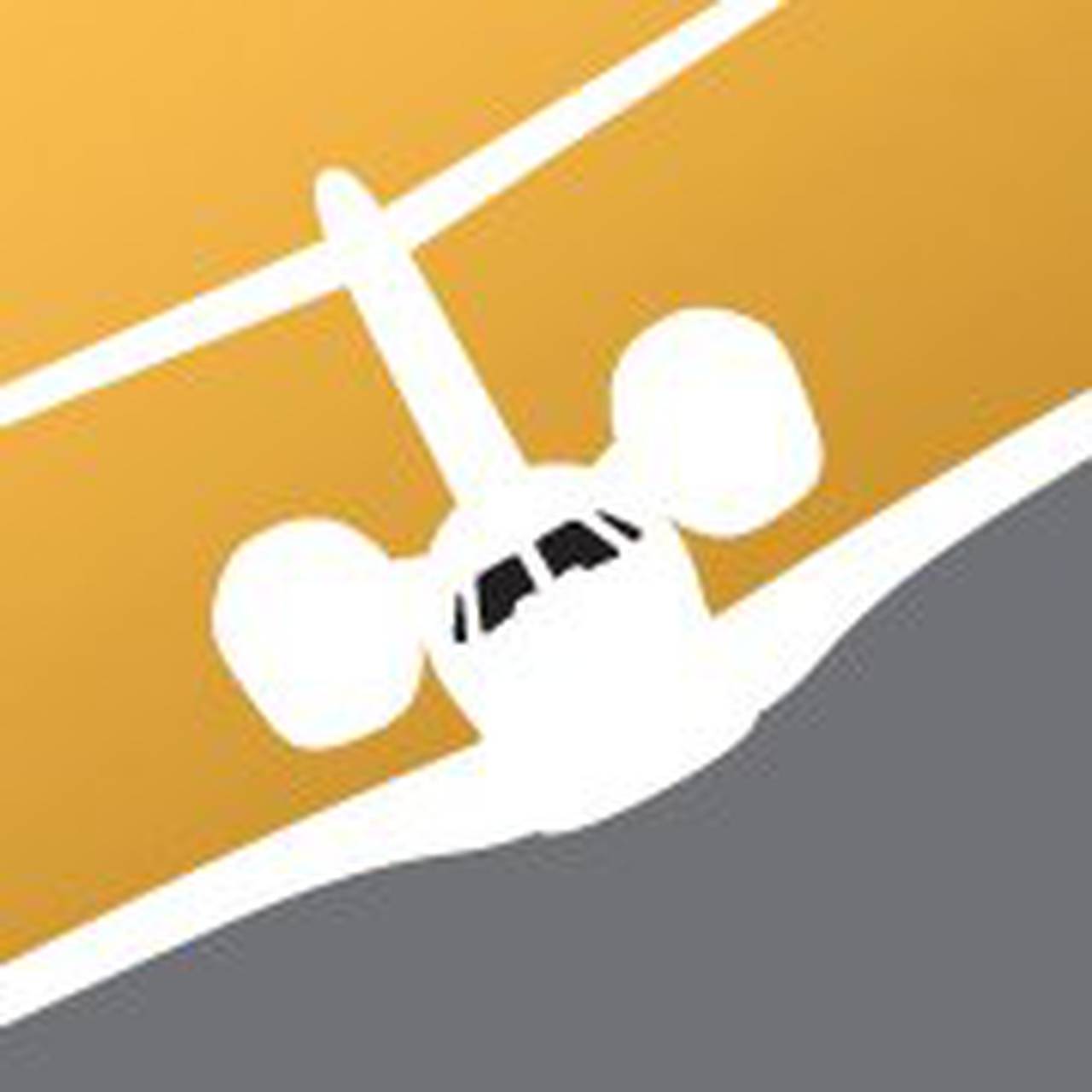 Flite Line Services
