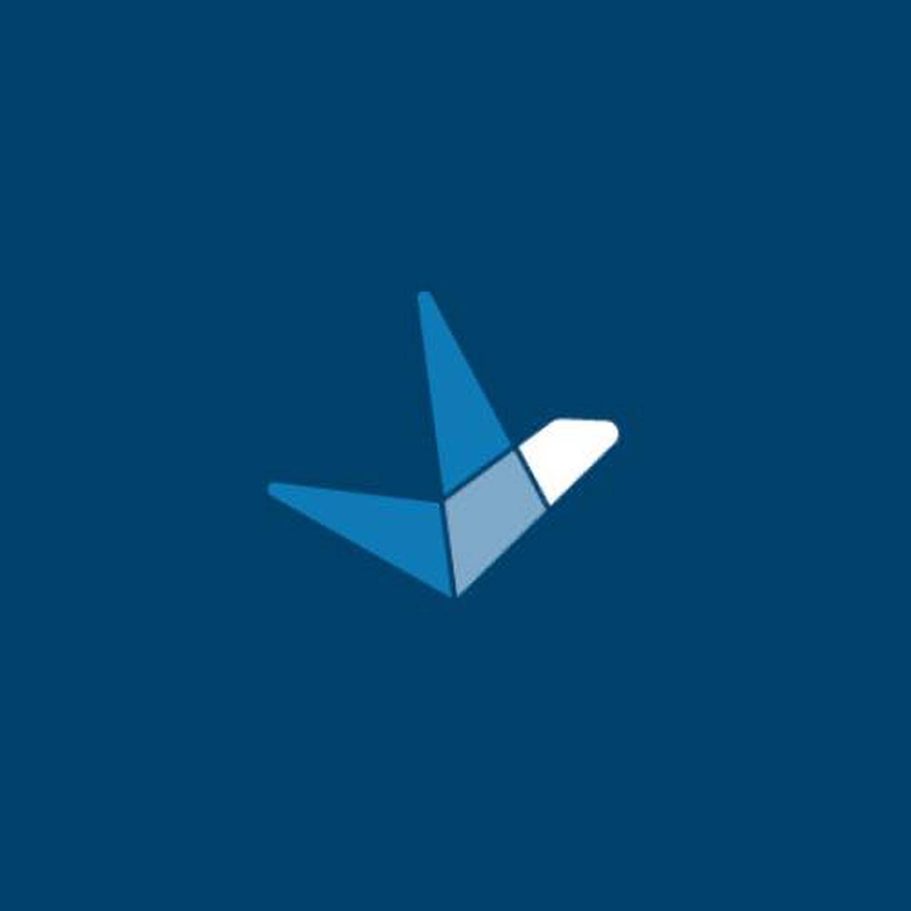 Флот FLYGTA INC