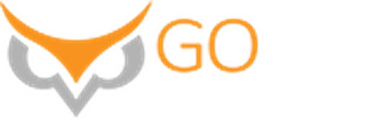 Go Fly Air Charter