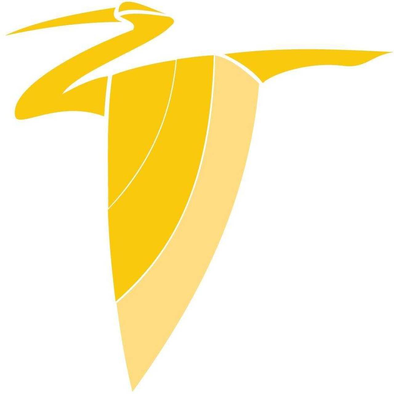 Heron Aviation