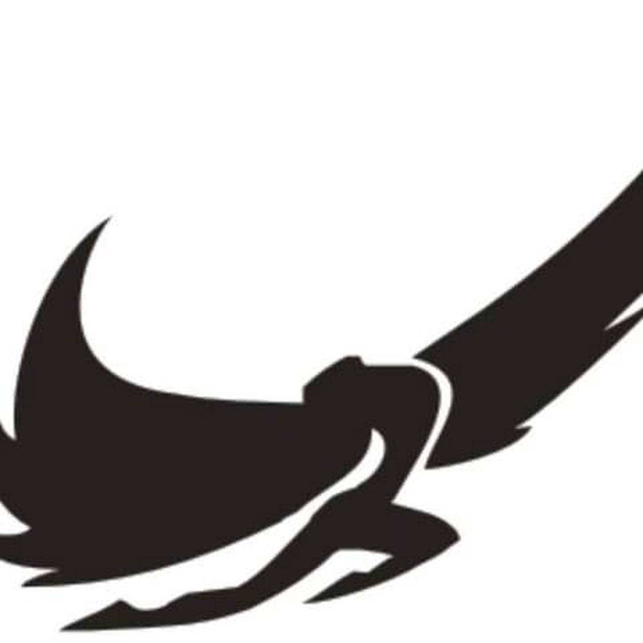 Флот Icarus Aviation Group
