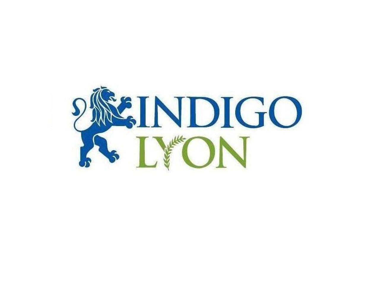 Indigo Lyon Limited