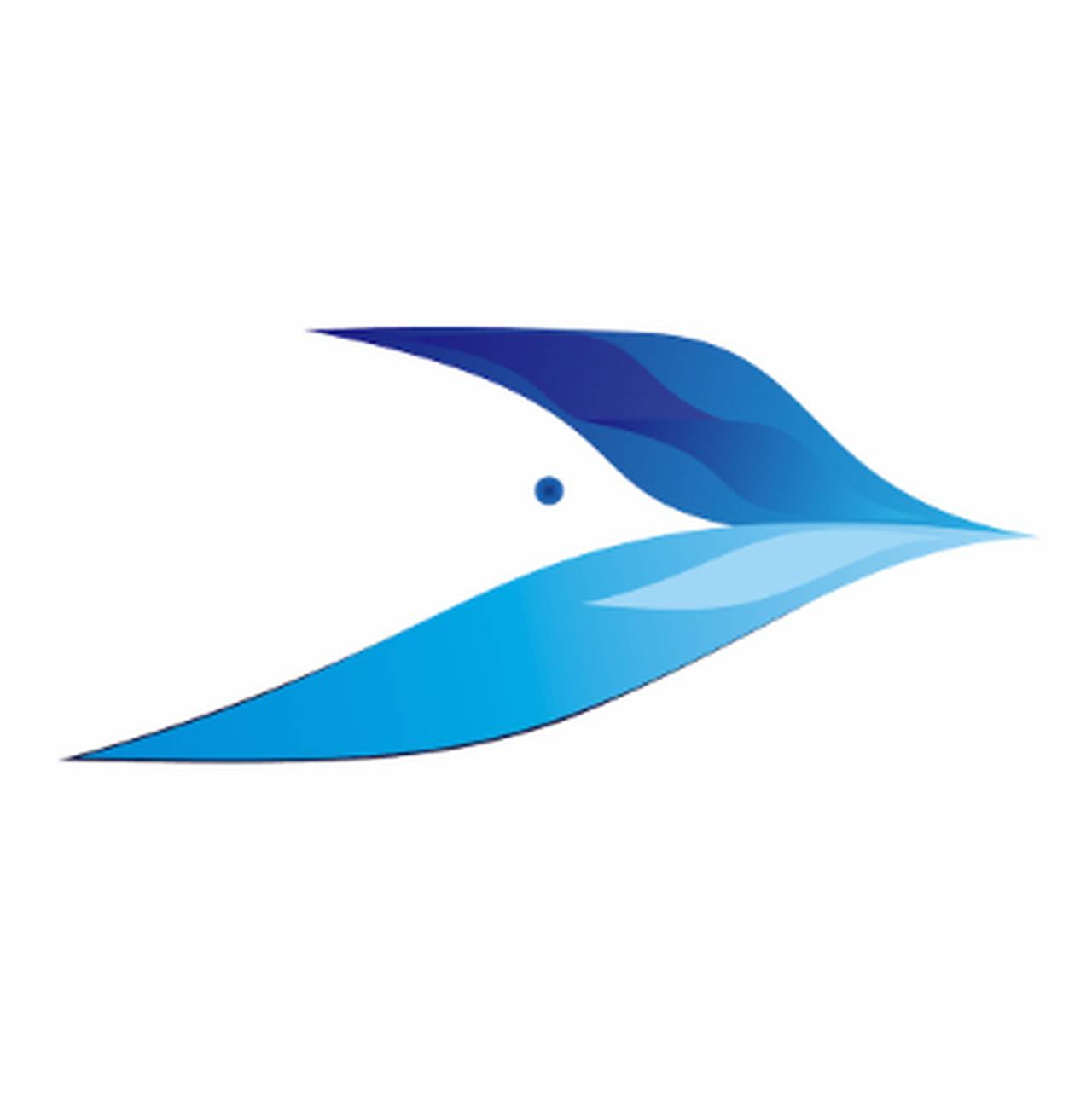 Interstate Aviation