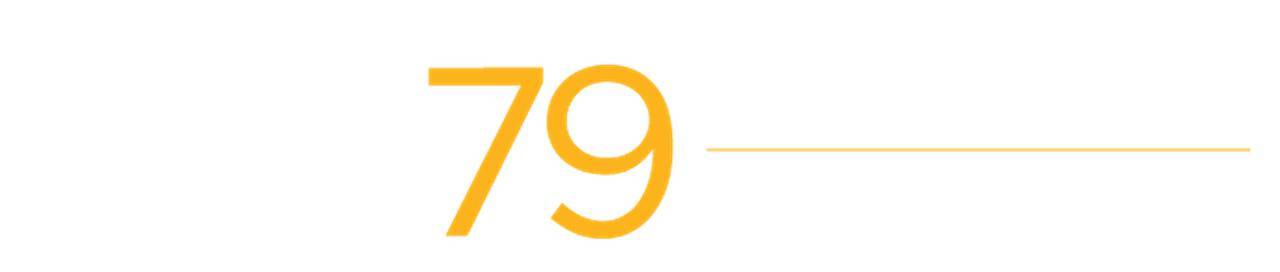 Флот Jet79, Corp