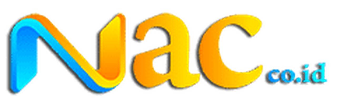 Флот Nusantara Air Charter