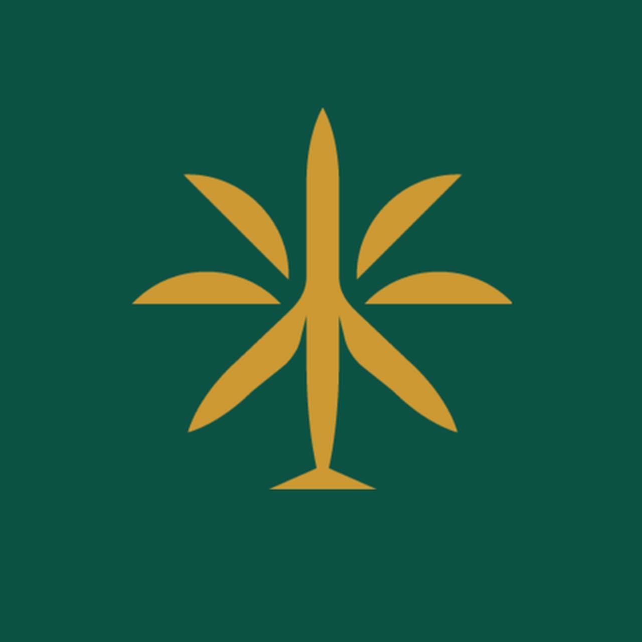 Флот Paradise Jets LLC