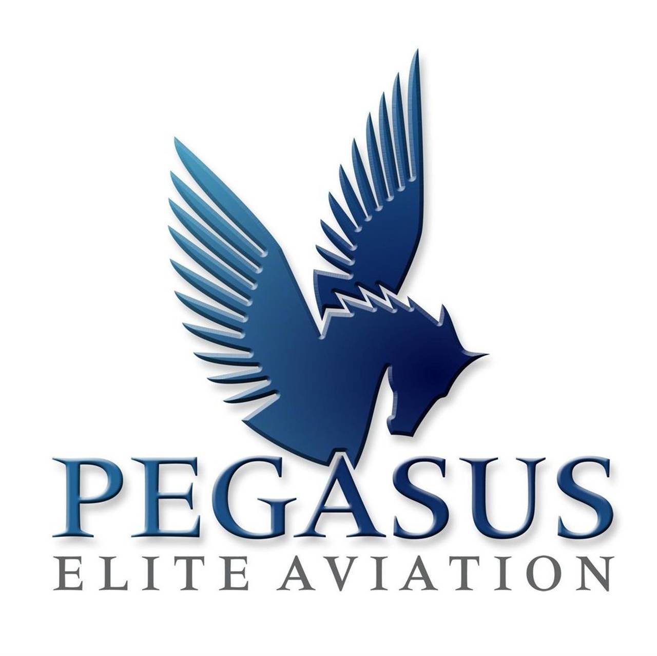 Флот Pegasus Elite Aviation, Inc