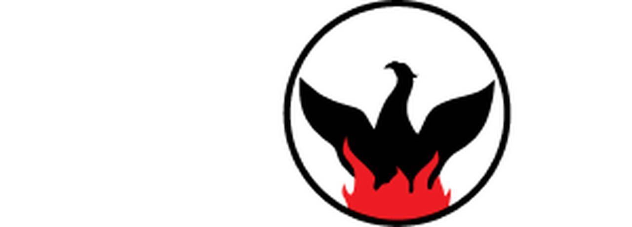 Phoenix Air Group, Inc