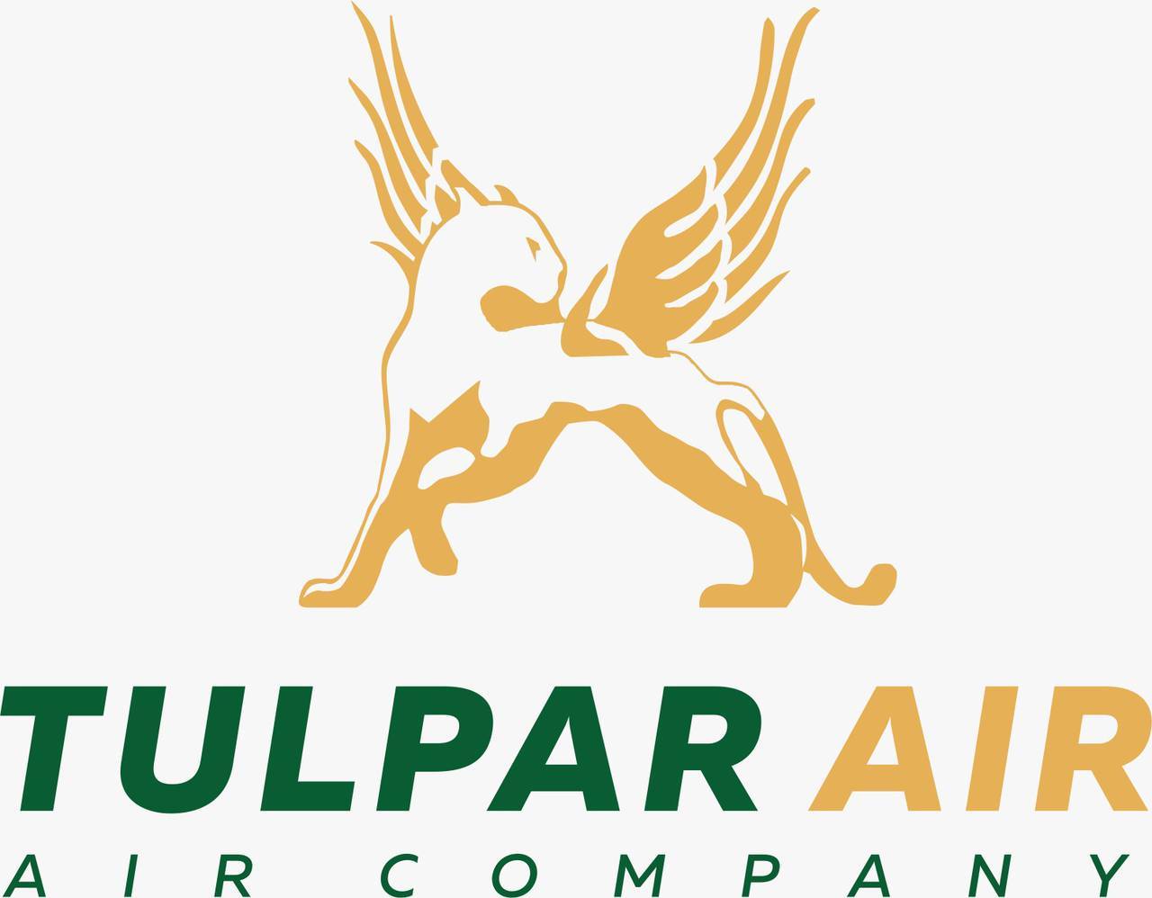 Tulpar Air Ltd