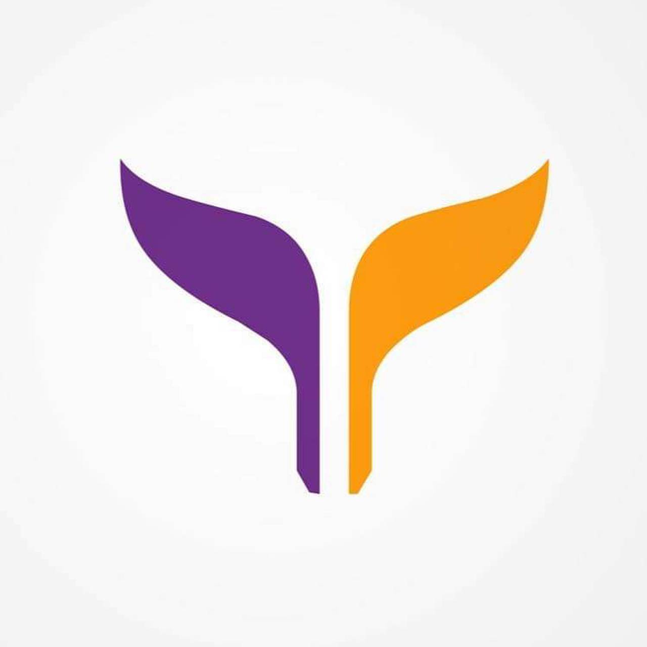 YanAir Connect
