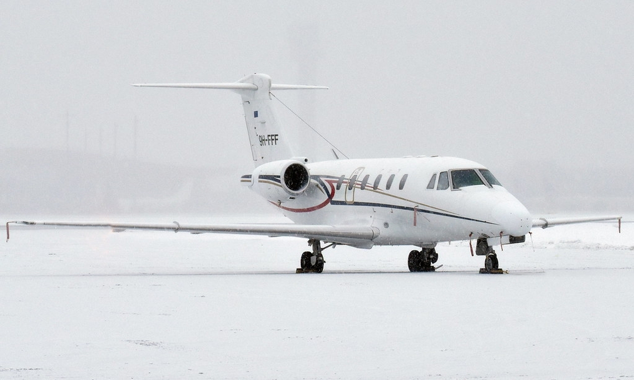   фото внешнего вида