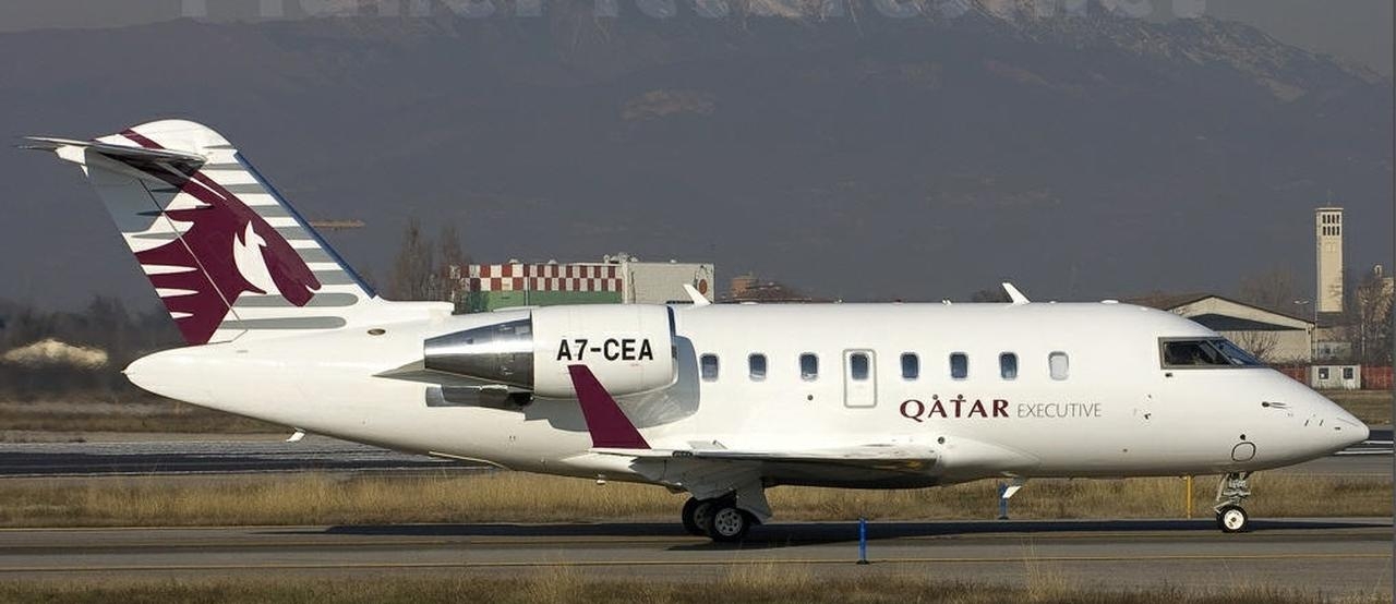   фото внешнего вида