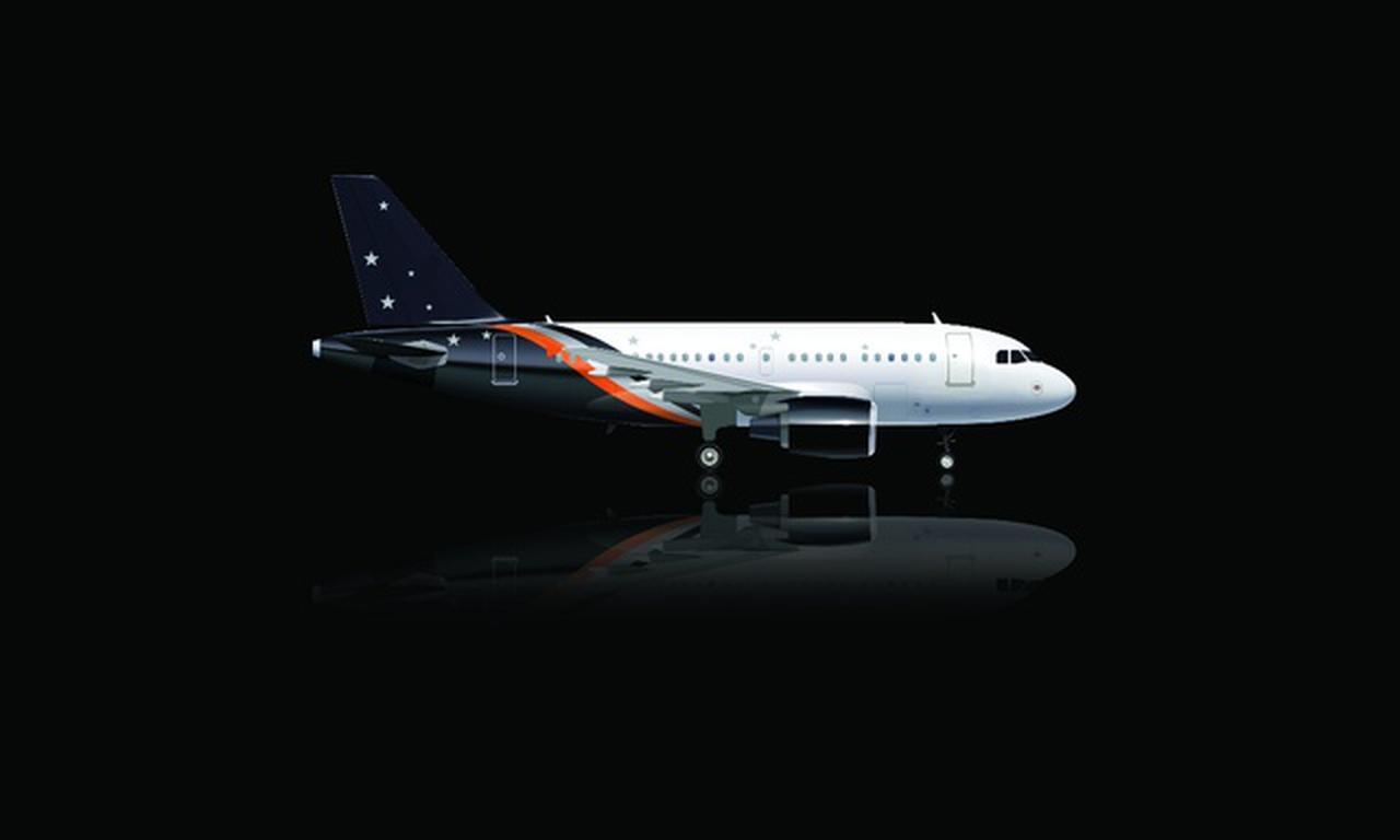 Airbus 318 Elite