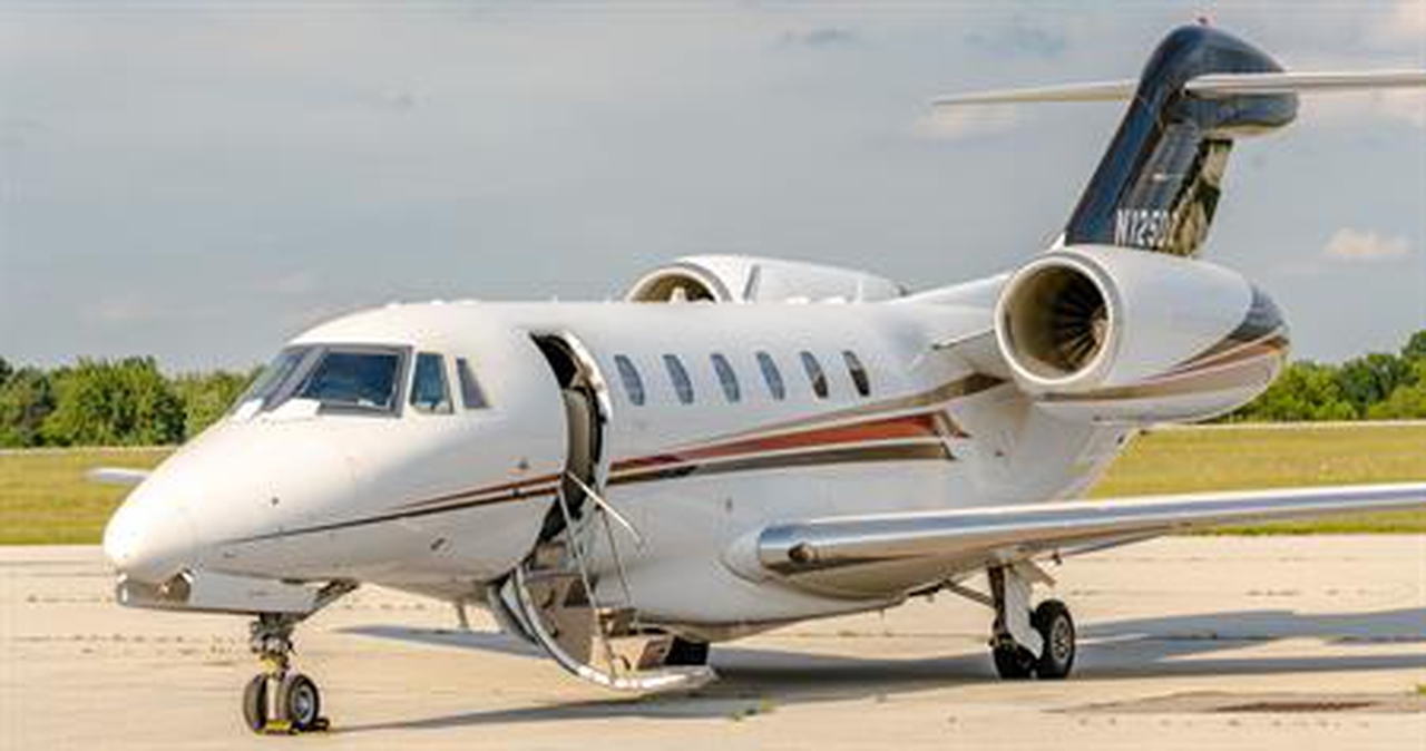   фото внешнего вида